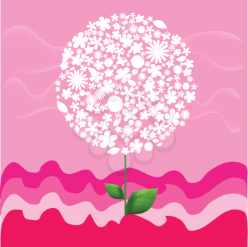 pink background with white tree flower