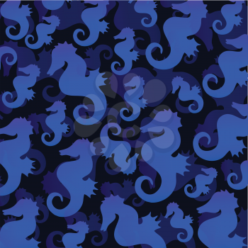 sea horses on blue background