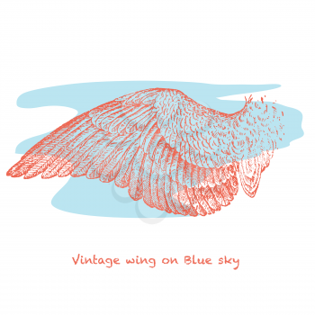 vintage wing on blue sky