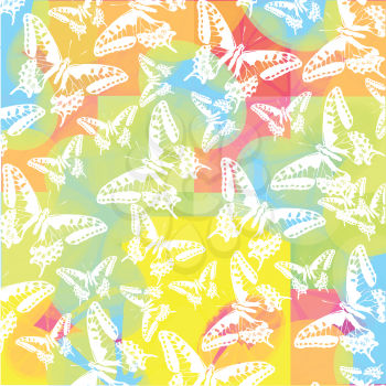 white butterflies on colored background