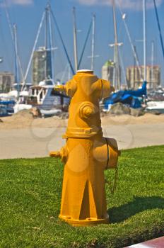 Royalty Free Photo of a Fire Hydrant