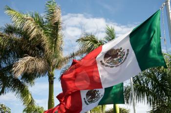 Mexican flags and palm trees