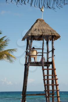 Lifeguard in his tower