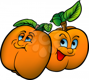 Royalty Free Clipart Image of Apricots