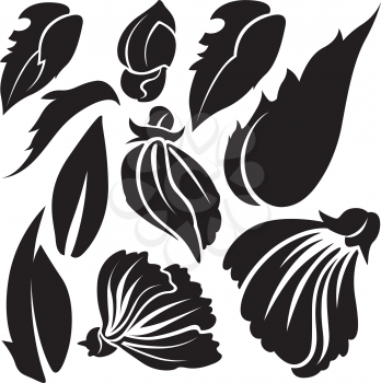 Royalty Free Clipart Image of Floral and Leaf Elements