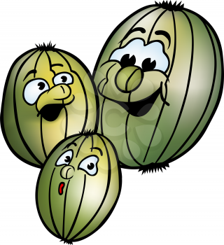 Royalty Free Clipart Image of Gooseberries