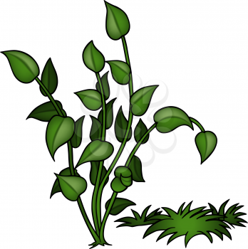 Royalty Free Clipart Image of Grasses