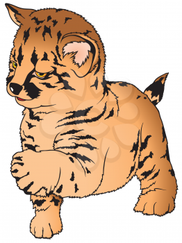 Royalty Free Clipart Image of a Baby Leopard