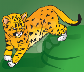 Royalty Free Clipart Image of an Ocelot Baby