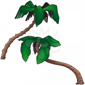 Royalty Free Clipart Image of Palm Trees