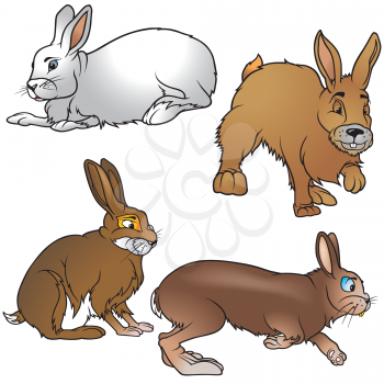 Royalty Free Clipart Image of a Group of Rabbits