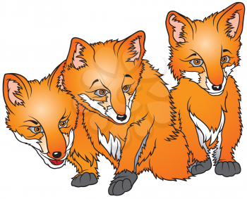 Royalty Free Clipart Image of Three Little Foxes