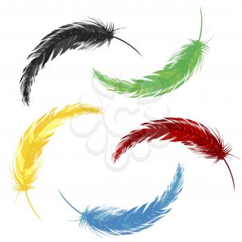 Royalty Free Clipart Image of Coloured Feathers