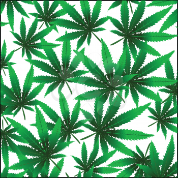Marijuana isolated on white background
