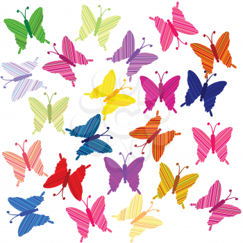 Striped colored butterflies