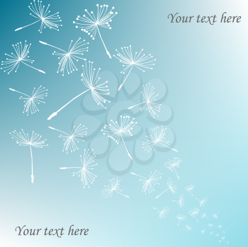 Royalty Free Clipart Image of a Dandelions on Blue With Space for Text