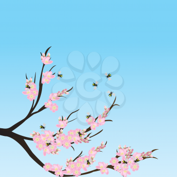 Royalty Free Clipart Image of a Branch With Cherry Blossoms