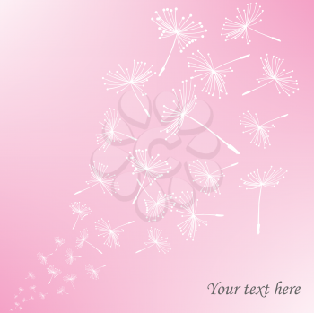 Royalty Free Clipart Image of Dandelion Seeds on Pink With Space for Text