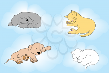 Cute background with sleepy cats and dogs