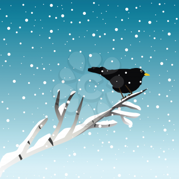 Winter illustration with blackbird on branch