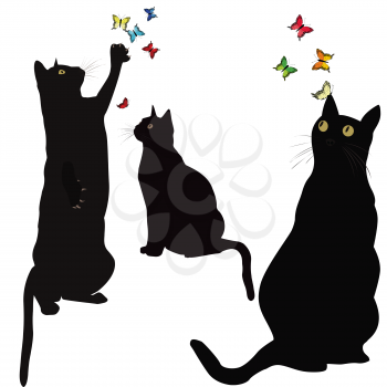 Black cats silhouettes and colorful butterlies