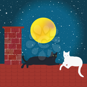 Black and white cats on the roof in the night