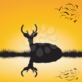 Landscape with sitting deer stag silhouette at sunset