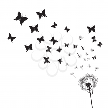 Dandelion seeds transforming into butterflies on white background