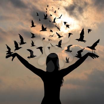 Learning to fly concept with birds flying and silhouette of woman