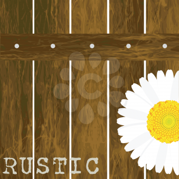 Rustic background with wooden fence and daisy