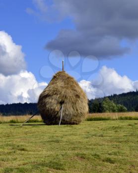 Haystack for animals feed