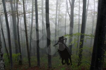 Silhouette of an amazon warrior woman riding a horse in forest