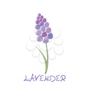 Stylized lavender icon on white background