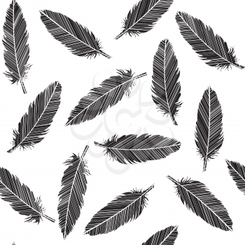 Birds feathers striped in black and white