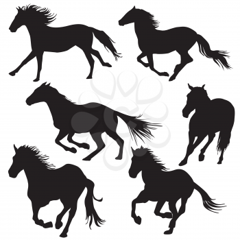 Silhouette of horses galloping on white background