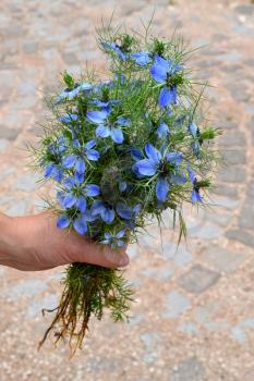 Woman hand holding a blue flowers bouquet