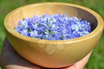 Hand holding a wooden bowl with blue flowers