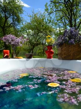 Lilac flowers and orange slice in a bathtub in a garden