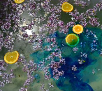 Lilac flowers and orange slices floating on blue water