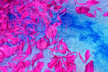 Pink petals floating on blue water