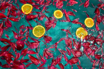 Red peony petals and orange slices on the water