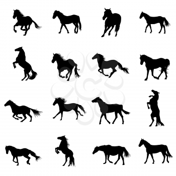 Set of black horses silhouettes on white background