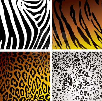 Royalty Free Clipart Image of Animal Print Backgrounds