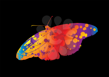 Royalty Free Clipart Image of a Rainbow Butterfly