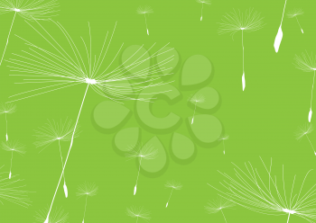 Royalty Free Clipart Image of a Dandelion Background on Green