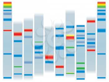 Royalty Free Clipart Image of Human DNA