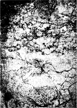 Royalty Free Clipart Image of a Black and White Grunge Background