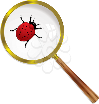 Royalty Free Clipart Image of a Ladybug Under a Magnifying Glass