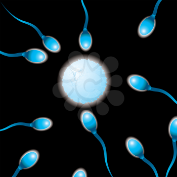 Royalty Free Clipart Image of a Sperm and Egg Background