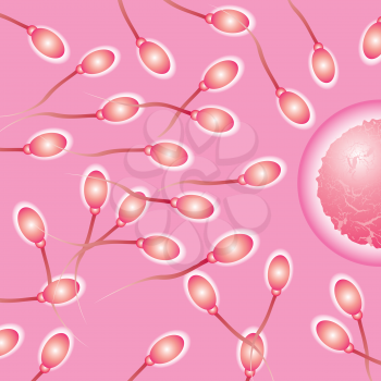 Royalty Free Clipart Image of a Pink Fertility Background With Sperm